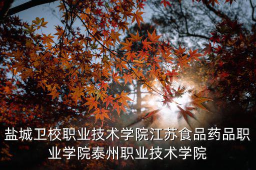 鹽城衛(wèi)校職業(yè)技術(shù)學(xué)院江蘇食品藥品職業(yè)學(xué)院泰州職業(yè)技術(shù)學(xué)院