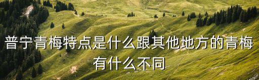 普寧青梅特點(diǎn)是什么跟其他地方的青梅有什么不同