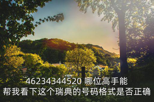 46234344520 哪位高手能幫我看下這個瑞典的號碼格式是否正確