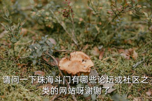 請問一下珠海斗門有哪些論壇或社區之類的網站呀謝謝了