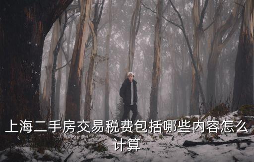 上海二手房交易稅費包括哪些內容怎么計算