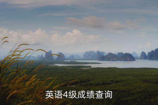 英語四級查分入口，查詢4級成績