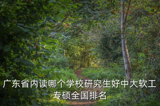 廣東省內讀哪個學校研究生好中大軟工專碩全國排名