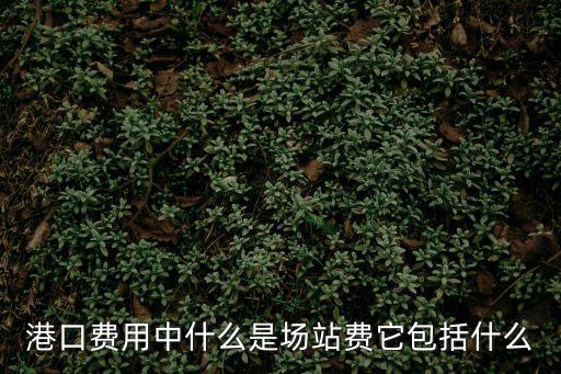 港口費(fèi)用中什么是場站費(fèi)它包括什么