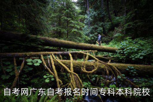 自考網(wǎng)廣東自考報(bào)名時(shí)間專科本科院校