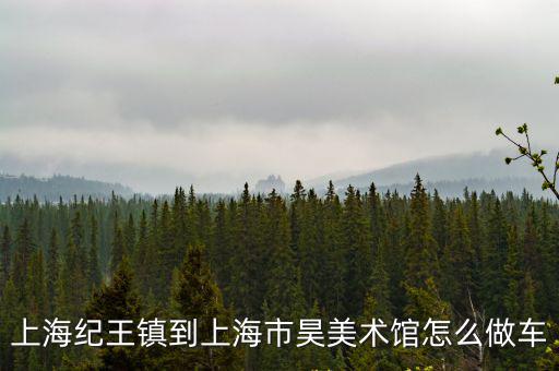上海紀(jì)王鎮(zhèn)到上海市昊美術(shù)館怎么做車