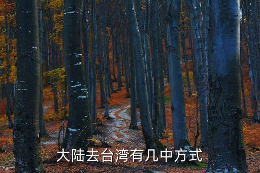 大陸去臺灣有幾中方式
