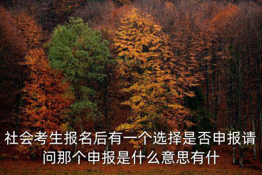 申報是什么意思，納稅申報與申報納稅是一個意思嗎都是代理記賬的業務范疇嗎  搜