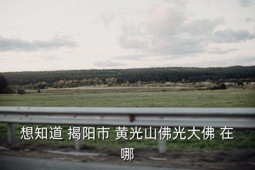 想知道 揭陽市 黃光山佛光大佛 在哪