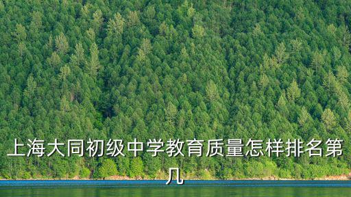 上海大同初級中學教育質量怎樣排名第幾