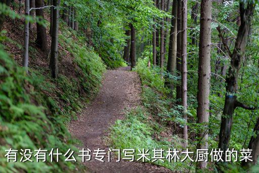 有沒有什么書專門寫米其林大廚做的菜