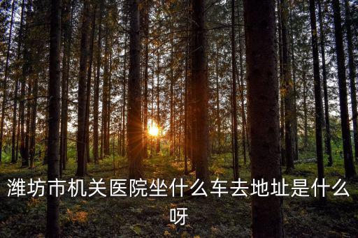 濰坊市機(jī)關(guān)醫(yī)院坐什么車(chē)去地址是什么呀