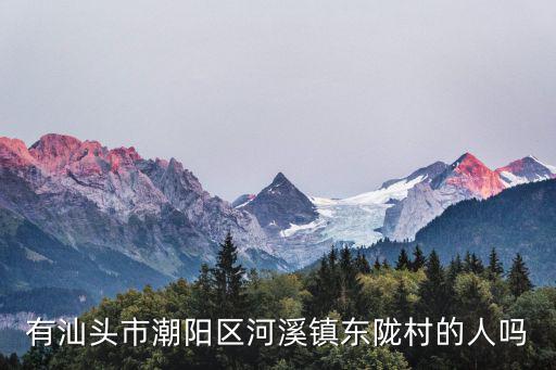 有汕頭市潮陽區河溪鎮東隴村的人嗎