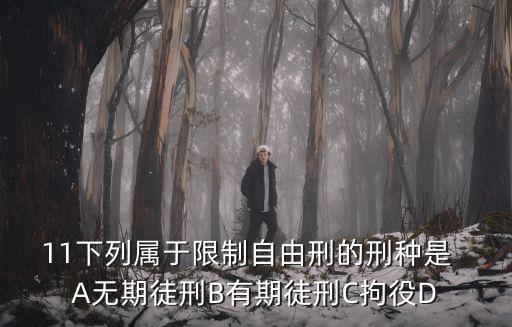 11下列屬于限制自由刑的刑種是  A無期徒刑B有期徒刑C拘役D