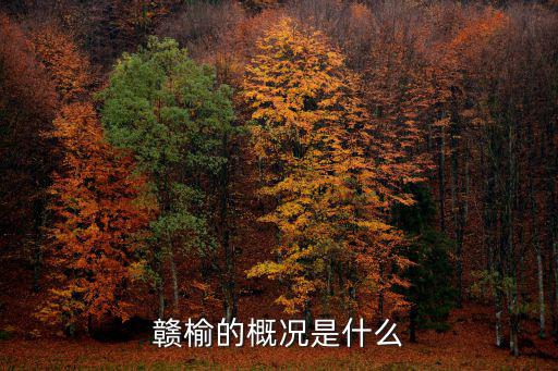 贛榆的概況是什么
