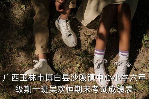 廣西玉林市博白縣沙陂鎮中心小學六年級期一班吳歡恒期末考試成績表