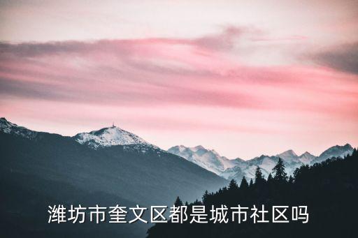 濰坊市奎文區都是城市社區嗎