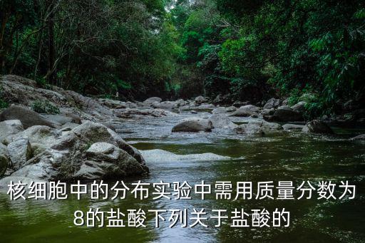 核細胞中的分布實驗中需用質量分數為8的鹽酸下列關于鹽酸的