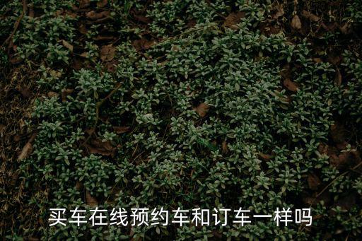 買車在線預約車和訂車一樣嗎
