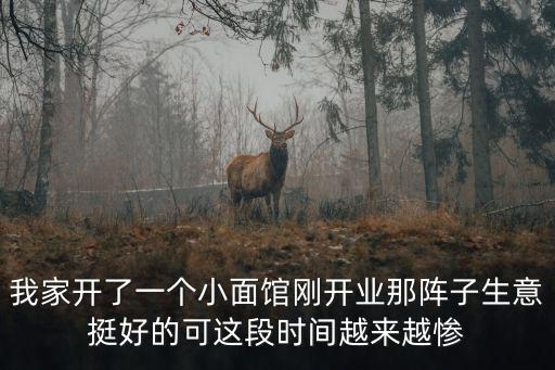 我家開了一個小面館剛開業那陣子生意挺好的可這段時間越來越慘