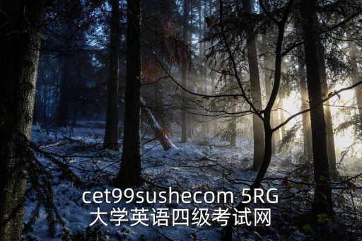 cet99sushecom 5RG大學英語四級考試網
