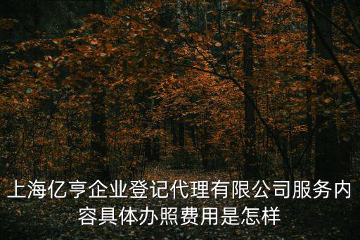 上海登元，上海億亨企業(yè)登記代理有限公司服務內容具體辦照費用是怎樣