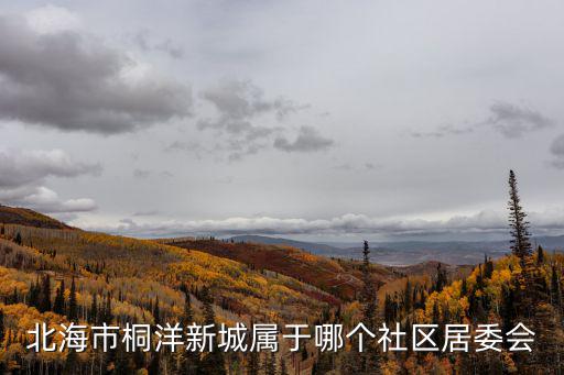 北海市桐洋新城屬于哪個社區居委會
