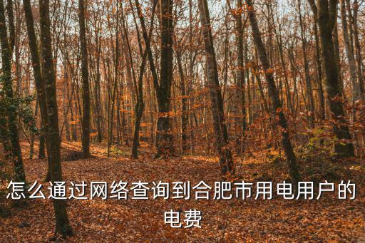 怎么通過網(wǎng)絡(luò)查詢到合肥市用電用戶的電費