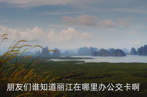 朋友們誰知道麗江在哪里辦公交卡啊