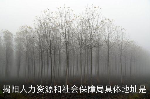 揭陽人力資源和社會保障局具體地址是