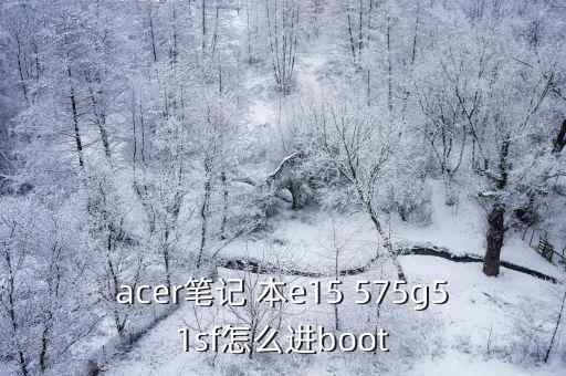 acer筆記 本e15 575g51sf怎么進boot