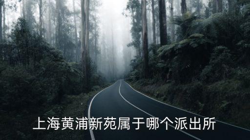 上海黃浦新苑屬于哪個派出所