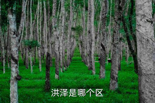 洪澤區(qū)，洪澤是哪個區(qū)