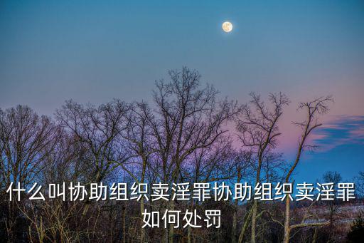什么叫協助組織賣淫罪協助組織賣淫罪如何處罰
