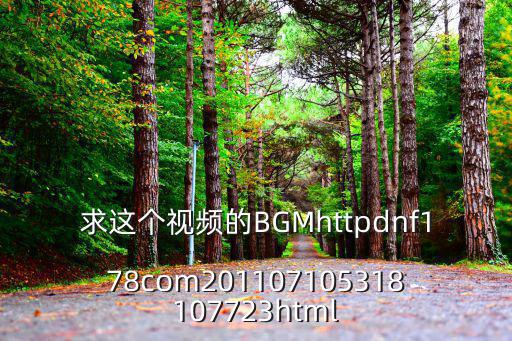 求這個(gè)視頻的BGMhttpdnf178com201107105318107723html
