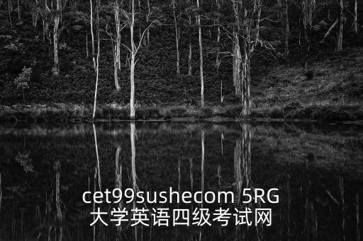 四六級考試網，英語四級考試