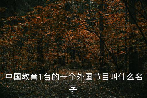 中國教育一臺直播，中國教育1臺的一個外國節(jié)目叫什么名字