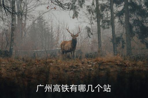 廣州高鐵有哪幾個(gè)站