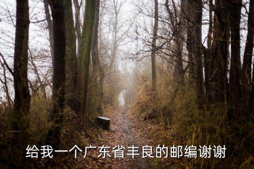給我一個廣東省豐良的郵編謝謝