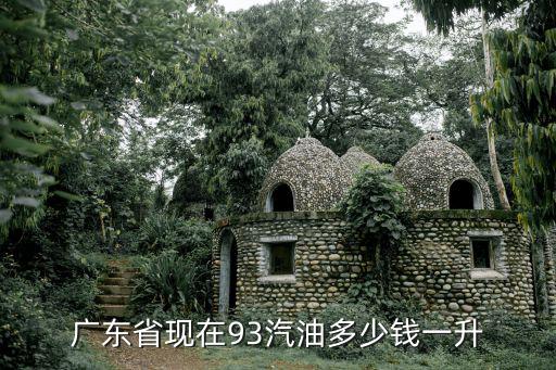 廣東油價(jià)，廣東省現(xiàn)在93汽油多少錢一升