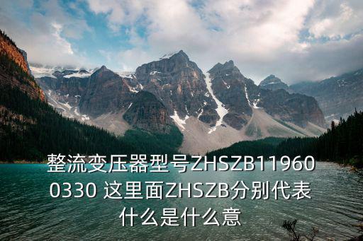 整流變壓器型號(hào)ZHSZB119600330 這里面ZHSZB分別代表什么是什么意