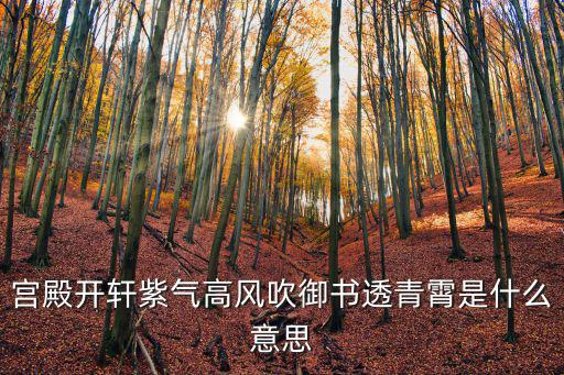 宮殿開軒紫氣高風(fēng)吹御書透青霄是什么意思