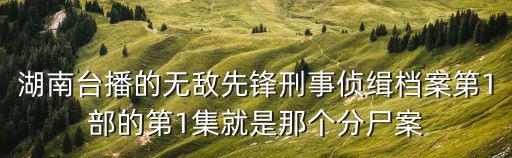 梁詠琳，女藝人梁泳琳的相貌五官用語言怎樣形容
