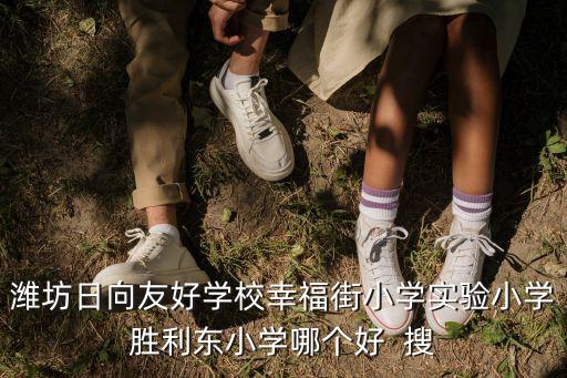 濰坊日向友好學(xué)校幸福街小學(xué)實驗小學(xué)勝利東小學(xué)哪個好  搜