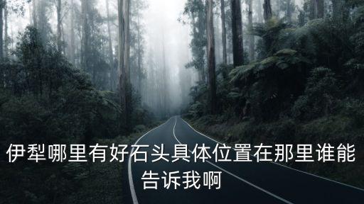 伊犁石，新疆伊犁產玉石嗎