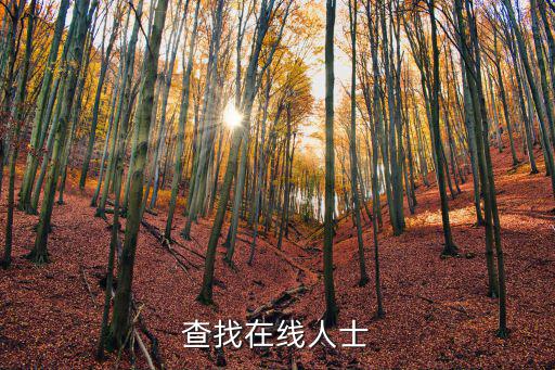 查找在線人士