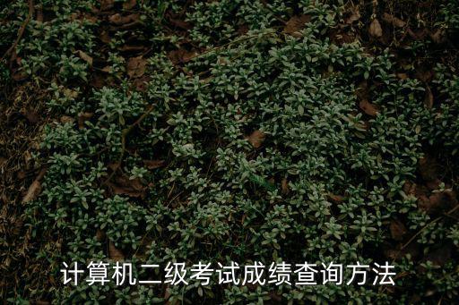 二級考試成績查詢，國家計(jì)算機(jī)二級成績查詢