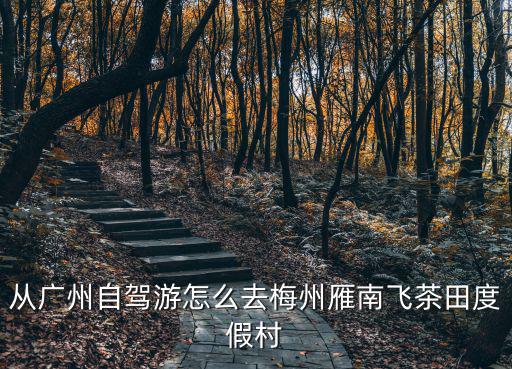 從廣州自駕游怎么去梅州雁南飛茶田度假村