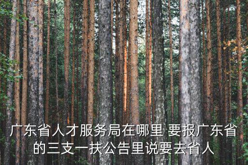 廣東省人才服務局在哪里 要報廣東省的三支一扶公告里說要去省人