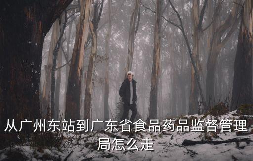 從廣州東站到廣東省食品藥品監(jiān)督管理局怎么走